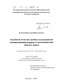 Клюев, Виктор Николаевич. Агробиологические приемы выращивания высоких урожаев кукурузы в сухостепной зоне Южного Урала: дис. кандидат сельскохозяйственных наук: 06.01.09 - Растениеводство. Оренбург. 2000. 268 с.