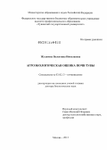 Жуланова, Валентина Николаевна. Агроэкологическая оценка почв Тувы.: дис. доктор биологических наук: 03.02.13 - Почвоведение. Москва. 2013. 323 с.