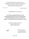 Галактионова, Наталия Александровна. Анатомия клыковой ямки в системе краннометрических точек и анатомических образований лицевого черепа у взрослых людей с различными формами лицевого черепа: дис. кандидат медицинских наук: 14.00.02 - Анатомия человека. . 0. 150 с.