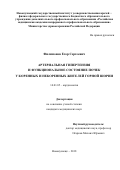 Филимонов Егор Сергеевич. Артериальная гипертензия и функциональное состояние почек у коренных и некоренных жителей Горной Шории: дис. кандидат наук: 14.01.05 - Кардиология. ФГБНУ «Научно-исследовательский институт комплексных проблем сердечно-сосудистых заболеваний». 2018. 147 с.