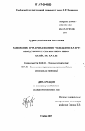 Бурмистрова, Алевтина Анатольевна. Асимметрия пространственного размещения воспроизводственных сил в национальном хозяйстве России: дис. кандидат экономических наук: 08.00.01 - Экономическая теория. Тамбов. 2007. 132 с.