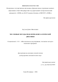 Бутусов Денис Николаевич. Численные методы моделирования хаотической динамики: дис. доктор наук: 00.00.00 - Другие cпециальности. ФГАОУ ВО «Северо-Восточный федеральный университет имени М.К. Аммосова». 2025. 339 с.