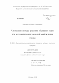 Павельчак, Иван Алексеевич. Численные методы решения обратных задач для математических моделей возбуждения сердца: дис. кандидат физико-математических наук: 05.13.18 - Математическое моделирование, численные методы и комплексы программ. Москва. 2012. 91 с.
