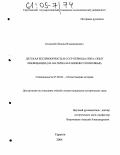 Блонский, Леонид Владимирович. Детская беспризорность в СССР периода НЭПА: опыт ликвидации: На материалах Нижнего Поволжья: дис. кандидат исторических наук: 07.00.02 - Отечественная история. Саратов. 2004. 217 с.