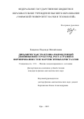 Кащенко Надежда Михайловна. Динамическая трактовка вырожденной двойниковой структуры, роста граней и формирования стоп мартенситных кристаллов: дис. кандидат наук: 00.00.00 - Другие cпециальности. ФГБОУ ВО «Алтайский государственный университет». 2025. 171 с.