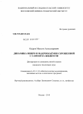 Кудров, Максим Александрович. Динамика микро и макрообъёмов сброшенной с самолёта жидкости: дис. кандидат технических наук: 05.13.18 - Математическое моделирование, численные методы и комплексы программ. Москва. 2010. 110 с.