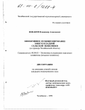Южаков, Владимир Алексеевич. Эффективное функционирование многоукладной сельской экономики: На примере Челябинской области: дис. кандидат экономических наук: 08.00.05 - Экономика и управление народным хозяйством: теория управления экономическими системами; макроэкономика; экономика, организация и управление предприятиями, отраслями, комплексами; управление инновациями; региональная экономика; логистика; экономика труда. Челябинск. 1999. 232 с.