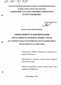 Малеева, Елена Вениаминовна. Эффективность формирования отраслевого сегмента рынка труда: На примере педагогов общеобразовательных школ Республики Саха (Якутия): дис. кандидат экономических наук: 08.00.05 - Экономика и управление народным хозяйством: теория управления экономическими системами; макроэкономика; экономика, организация и управление предприятиями, отраслями, комплексами; управление инновациями; региональная экономика; логистика; экономика труда. Новосибирск. 2005. 162 с.
