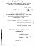 Матирная, Надежда Васильевна. Экономическая эффективность интенсификации производства кукурузы на зерно в сельскохозяйственных предприятиях Краснодарского края: дис. кандидат экономических наук: 08.00.05 - Экономика и управление народным хозяйством: теория управления экономическими системами; макроэкономика; экономика, организация и управление предприятиями, отраслями, комплексами; управление инновациями; региональная экономика; логистика; экономика труда. Краснодар. 2001. 181 с.