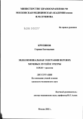 Крупинов, Герман Евгеньевич. Эндолюминальная эхография верхних мочевых путей и уретры: дис. кандидат медицинских наук: 14.00.40 - Урология. Москва. 2002. 171 с.