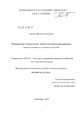 Осипов, Денис Геннадьевич. Формирование экономического механизма развития промышленно-производственного потенциала в регионе: дис. кандидат экономических наук: 08.00.05 - Экономика и управление народным хозяйством: теория управления экономическими системами; макроэкономика; экономика, организация и управление предприятиями, отраслями, комплексами; управление инновациями; региональная экономика; логистика; экономика труда. Чебоксары. 2010. 166 с.