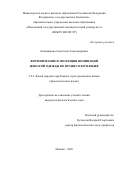 Кальщикова Анастасия Александровна. Формирование и эволюция номинаций женской одежды во французском языке: дис. кандидат наук: 00.00.00 - Другие cпециальности. «Московский государственный лингвистический университет». 2026. 194 с.