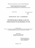 Феофилактова, Ольга Владимировна. Формирование и оценка качества новых видов эмульсионных соусов: дис. кандидат технических наук: 05.18.15 - Товароведение пищевых продуктов и технология общественного питания. Кемерово. 2011. 137 с.