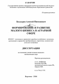 Болдырев, Алексей Николаевич. Формирование и развитие малого бизнеса в аграрной сфере: дис. кандидат экономических наук: 08.00.05 - Экономика и управление народным хозяйством: теория управления экономическими системами; макроэкономика; экономика, организация и управление предприятиями, отраслями, комплексами; управление инновациями; региональная экономика; логистика; экономика труда. Воронеж. 2006. 177 с.