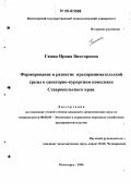 Ганжа, Ирина Викторовна. Формирование и развитие предпринимательской среды в санаторно-курортном комплексе Ставропольского края: дис. кандидат экономических наук: 08.00.05 - Экономика и управление народным хозяйством: теория управления экономическими системами; макроэкономика; экономика, организация и управление предприятиями, отраслями, комплексами; управление инновациями; региональная экономика; логистика; экономика труда. Пятигорск. 2006. 159 с.