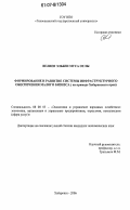 Велиев Эльбеи Муса оглы. Формирование и развитие системы инфраструктурного обеспечения малого бизнеса: на примере Хабаровского края: дис. кандидат экономических наук: 08.00.05 - Экономика и управление народным хозяйством: теория управления экономическими системами; макроэкономика; экономика, организация и управление предприятиями, отраслями, комплексами; управление инновациями; региональная экономика; логистика; экономика труда. Хабаровск. 2006. 147 с.