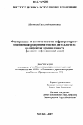 Новикова, Наталья Михайловна. Формирование и развитие системы инфраструктурного обеспечения предпринимательской деятельности на предприятиях промышленности: финансово-информационный аспект: дис. кандидат экономических наук: 08.00.05 - Экономика и управление народным хозяйством: теория управления экономическими системами; макроэкономика; экономика, организация и управление предприятиями, отраслями, комплексами; управление инновациями; региональная экономика; логистика; экономика труда. Москва. 2007. 151 с.