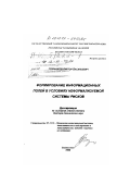 Горчаков, Виктор Васильевич. Формирование информационных полей в условиях неформализуемой системы рисков: дис. доктор технических наук: 05.13.16 - Применение вычислительной техники, математического моделирования и математических методов в научных исследованиях (по отраслям наук). Владивосток. 1999. 355 с.