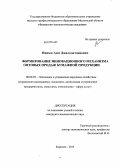 Ниязов, Азиз Джалолитдинович. Формирование инновационного механизма оптовых продаж бумажной продукции: дис. кандидат экономических наук: 08.00.05 - Экономика и управление народным хозяйством: теория управления экономическими системами; макроэкономика; экономика, организация и управление предприятиями, отраслями, комплексами; управление инновациями; региональная экономика; логистика; экономика труда. Королев. 2013. 162 с.