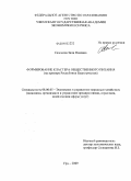 Сазонова, Зиля Римовна. Формирование кластера общественного питания: на примере Республики Башкортостан: дис. кандидат экономических наук: 08.00.05 - Экономика и управление народным хозяйством: теория управления экономическими системами; макроэкономика; экономика, организация и управление предприятиями, отраслями, комплексами; управление инновациями; региональная экономика; логистика; экономика труда. Уфа. 2009. 153 с.