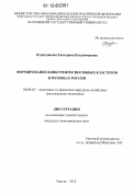 Куркудинова, Екатерина Владимировна. Формирование конкурентоспособных кластеров в регионах России: дис. кандидат экономических наук: 08.00.05 - Экономика и управление народным хозяйством: теория управления экономическими системами; макроэкономика; экономика, организация и управление предприятиями, отраслями, комплексами; управление инновациями; региональная экономика; логистика; экономика труда. Элиста. 2012. 165 с.