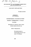 Литвинов, Олег Валерьевич. Формирование мультикультурной модели телевещания в странах Магриба: дис. кандидат филологических наук: 10.01.10 - Журналистика. Б. м.. 1999. 164 с.