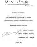 Васильева, Юлия Львовна. Формирование нового качества рабочей силы в современных условиях: дис. кандидат экономических наук: 08.00.05 - Экономика и управление народным хозяйством: теория управления экономическими системами; макроэкономика; экономика, организация и управление предприятиями, отраслями, комплексами; управление инновациями; региональная экономика; логистика; экономика труда. Саратов. 2004. 162 с.