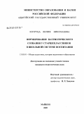 Котруца, Лилия Николаевна. Формирование патриотического сознания у старшеклассников в школьной системе воспитания: дис. кандидат педагогических наук: 13.00.01 - Общая педагогика, история педагогики и образования. Майкоп. 2009. 208 с.