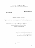 Дипломная работа: Формирование правового государства