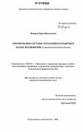 Поваров, Данил Витальевич. Формирование системы управления и поддержки малых предприятий: на примере Камчатской области: дис. кандидат экономических наук: 08.00.05 - Экономика и управление народным хозяйством: теория управления экономическими системами; макроэкономика; экономика, организация и управление предприятиями, отраслями, комплексами; управление инновациями; региональная экономика; логистика; экономика труда. Петропавловск-Камчатский. 2006. 171 с.