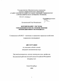 Богдановский, Егор Михайлович. Формирование системы управления вузом на основе оценки инновационного потенциала: дис. кандидат экономических наук: 08.00.05 - Экономика и управление народным хозяйством: теория управления экономическими системами; макроэкономика; экономика, организация и управление предприятиями, отраслями, комплексами; управление инновациями; региональная экономика; логистика; экономика труда. Санкт-Петербург. 2009. 159 с.
