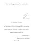 Мурыгин Борис Сергеевич. Формирование солитонных структур в ранней Вселенной и астрофизические проявления первичных чёрных дыр: дис. кандидат наук: 00.00.00 - Другие cпециальности. «Национальный исследовательский ядерный университет «МИФИ». 2026. 93 с.