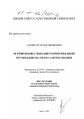 Алехин, Эдуард Владимирович. Формирование социально-территориальной организации местного самоуправления: дис. кандидат социологических наук: 22.00.04 - Социальная структура, социальные институты и процессы. Пенза. 2001. 249 с.