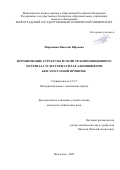 Мирошкин Николай Юрьевич. Формирование структуры и свойств композиционного материала углеграфит-сплав алюминия при безгазостатной пропитке: дис. кандидат наук: 00.00.00 - Другие cпециальности. ФГБОУ ВО «Волгоградский государственный технический университет». 2023. 152 с.