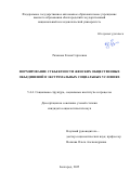 Рязанова Елена Сергеевна. Формирование субъектности женских общественных объединений в экстремальных социальных условиях: дис. кандидат наук: 00.00.00 - Другие cпециальности. «Белгородский государственный национальный исследовательский университет». 2025. 177 с.