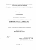 Прокопенко, Анна Юрьевна. Формирование темпоральной компетентности социального педагога в процессе его профессиональной подготовки в вузе: дис. кандидат наук: 13.00.08 - Теория и методика профессионального образования. Волгоград. 2013. 224 с.