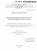Вяткина, Валерия Валерьевна. Формирование целевых комплексных программ социальной защиты детей-сирот в регионе: дис. кандидат наук: 08.00.05 - Экономика и управление народным хозяйством: теория управления экономическими системами; макроэкономика; экономика, организация и управление предприятиями, отраслями, комплексами; управление инновациями; региональная экономика; логистика; экономика труда. Санкт-Петербург. 2014. 209 с.