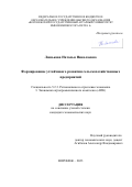 Линькова Наталья Николаевна. Формирование устойчивого развития сельскохозяйственных предприятий: дис. кандидат наук: 00.00.00 - Другие cпециальности. ФГБОУ ВО «Воронежский государственный аграрный университет имени императора Петра I». 2023. 173 с.