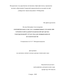 Носова Екатерина Александровна. Формирование в листах алюминиевых сплавов при термической и деформационной обработке упорядоченной структуры для повышения их штампуемости: дис. доктор наук: 00.00.00 - Другие cпециальности. ФГБОУ ВО «Самарский государственный технический университет». 2022. 340 с.