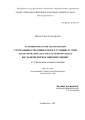 Иванов Павел Александрович. Функционирование мезенхимных стромальных/стволовых клеток в условиях in vitro моделирования системы "регенерирующая кость/кроветворное микроокружение": дис. кандидат наук: 00.00.00 - Другие cпециальности. ФГБОУ ВО «Сибирский государственный медицинский университет» Министерства здравоохранения Российской Федерации. 2021. 119 с.