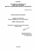 Шляпин, Дмитрий Андреевич. Генезис катализатора синтеза аммиака Ru-Cs(K,Rb)/"сибунит": дис. кандидат химических наук: 02.00.04 - Физическая химия. Омск. 2006. 139 с.