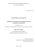 Пенкин Максим Александрович. Гибридные методы анализа и повышения качества медицинских изображений: дис. кандидат наук: 00.00.00 - Другие cпециальности. «Московский государственный университет имени М.В. Ломоносова». 2026. 103 с.