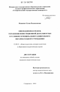 Мацкевич, Елена Владиленовна. Инновационная модель управления инвестиционной деятельностью в условиях муниципального дошкольного образовательного учреждения: дис. кандидат наук: 13.00.01 - Общая педагогика, история педагогики и образования. Ставрополь. 2012. 183 с.