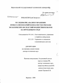 Иншаков, Юрий Захарович. Исследование, анализ и управление процессами пожарной безопасности и рисками экологических последствий воздействия пожаров на окружающую среду: дис. доктор технических наук: 05.13.01 - Системный анализ, управление и обработка информации (по отраслям). Воронеж. 2008. 242 с.