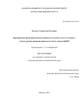 Козлов Станислав Олегович. Картирование функциональной активности головного мозга человека с учётом уровня синхронизации вокселей по данным фМРТ: дис. кандидат наук: 00.00.00 - Другие cпециальности. «Московский государственный университет имени М.В. Ломоносова». 2025. 129 с.