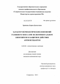 Эркенова, Лариса Далхатовна. Характер морфологических изменений головного мозга при экспериментальном гипотиреозе и защитное действие антиоксидантов: дис. кандидат медицинских наук: 14.03.02 - Патологическая анатомия. Саратов. 2013. 140 с.