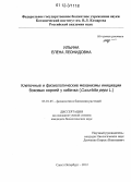 Ильина, Елена Леонидовна. Клеточные и физиологические механизмы инициации боковых корней у кабачка: Cucurbita pepo L.: дис. кандидат биологических наук: 03.01.05 - Физиология и биохимия растений. Санкт-Петербург. 2012. 205 с.