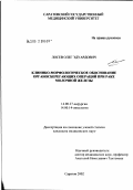 Лосев, Олег Эдуардович. Клинико-морфологическое обоснование органосберегающих операций при раке молочной железы: дис. кандидат медицинских наук: 14.00.27 - Хирургия. Саратов. 2002. 125 с.