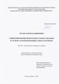 Котляр Антон Владимирович. Клинкерный кирпич низкотемпературного спекания на основе аргиллитоподобных глин и аргиллитов: дис. кандидат наук: 05.23.05 - Строительные материалы и изделия. ФГБОУ ВО «Волгоградский государственный технический университет». 2018. 199 с.