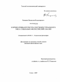 Разманов, Владислав Владимирович. Корпоративная культура постиндустриального типа: социально-философский анализ: дис. кандидат философских наук: 09.00.11 - Социальная философия. Томск. 2009. 123 с.